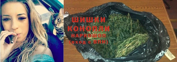 spice Аркадак