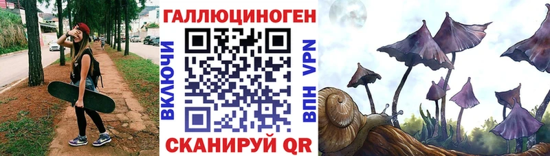Псилоцибиновые грибы Psilocybe  Красный Кут 